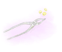 イラスト